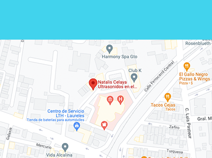 Natalis Celaya Ubicación