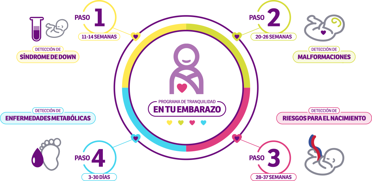 4-paso-de-tu-embarazo