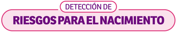 Detección-de-riesgo