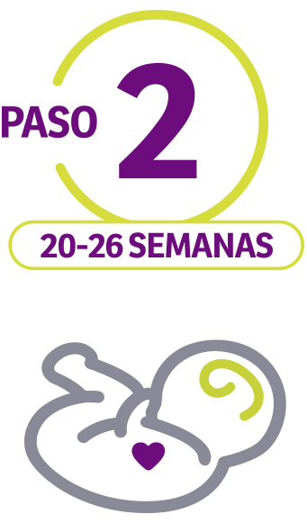 Paso-2